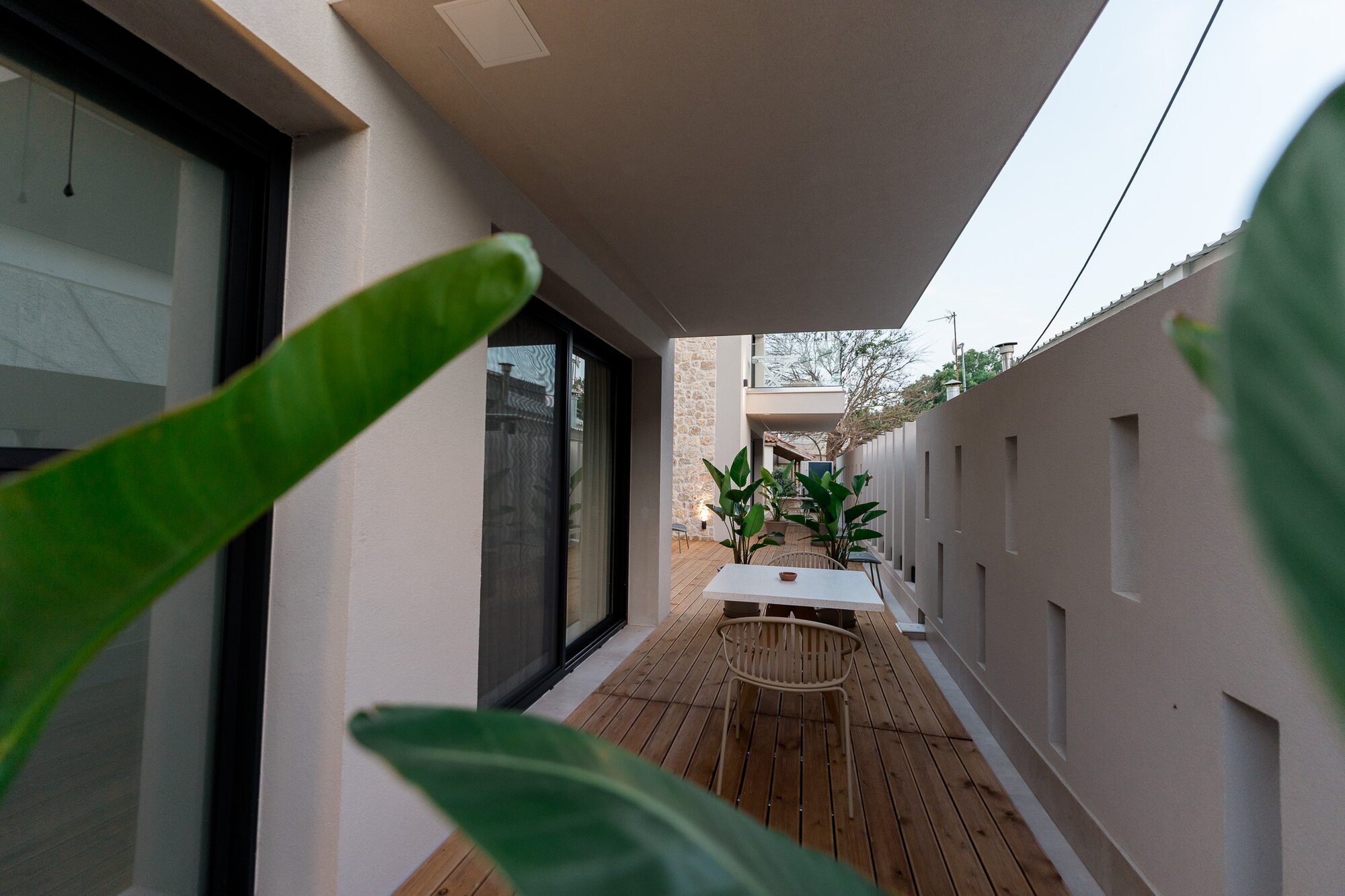 Plant-framed breezeway at Aetheria North at dusk